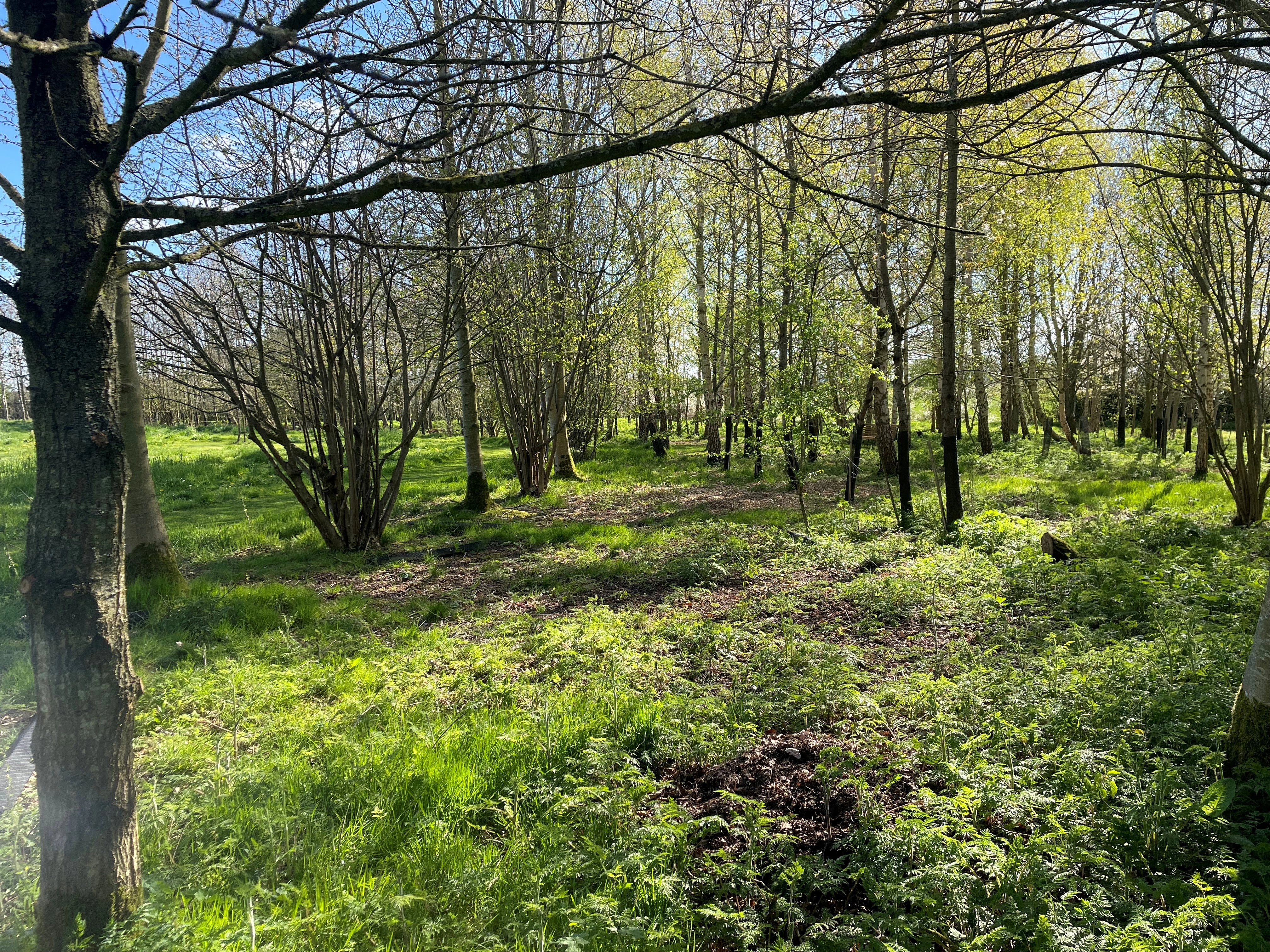 Natural Burial Grounds Image